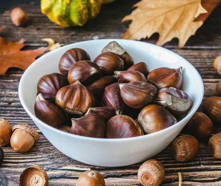 kesten- izvor unsplash