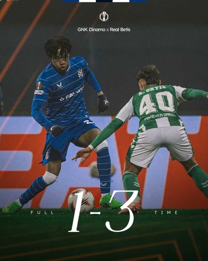 GNK-Dinamo-narodno-hr