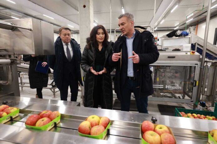 Regionalni distribucijski centar-obž-narodno-hr