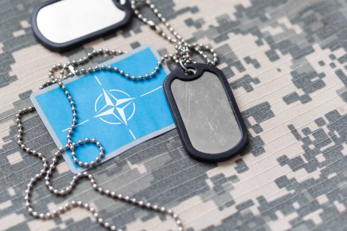 veleposlanik-NATO-narodno-hr