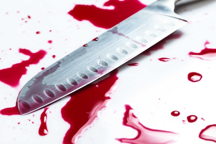 crna kronika-narodno-hr