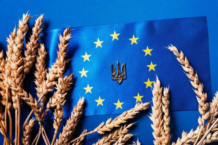 export-sale-import-of-ukrainian-grain-to-the-eur-2026-03-20-00-41-20-utc