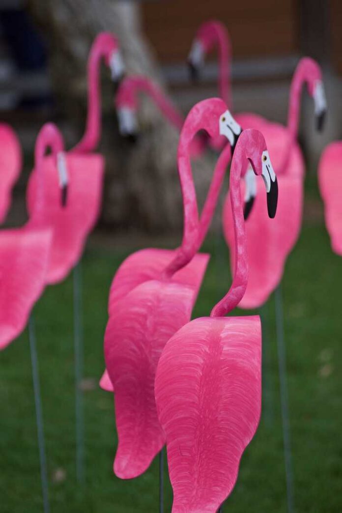 flamingo-narodno-hr